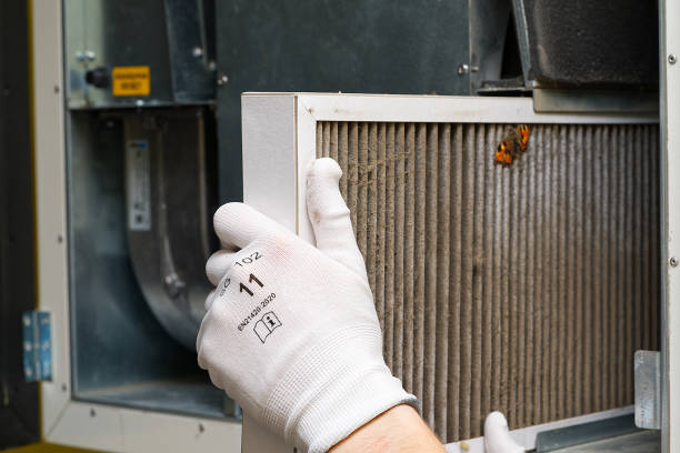 Best Ductwork Cleaning Services  in North Merritt Island, FL