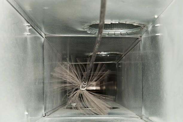 Best Professional Duct Cleaning Services  in North Merritt Island, FL