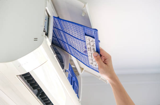 Air Duct Mold Removal in North Merritt Island, FL